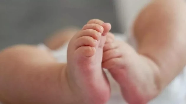 人口統計学：なぜ日本人には子供がいないのか、もう子供がいないのか？