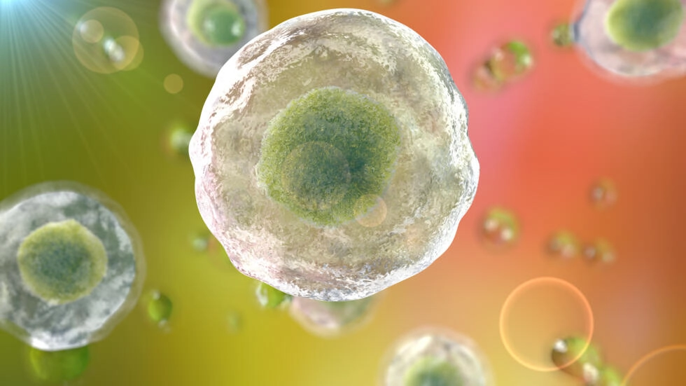 人間の細胞。遺伝子治療の生産は、2020年にすでに30億ドルを占めていた。© Getty Images/Science Photo/Kateryna Kon