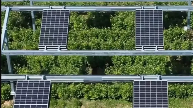 Ombrea、気候の危険から作物を保護する方法を見つけた会社