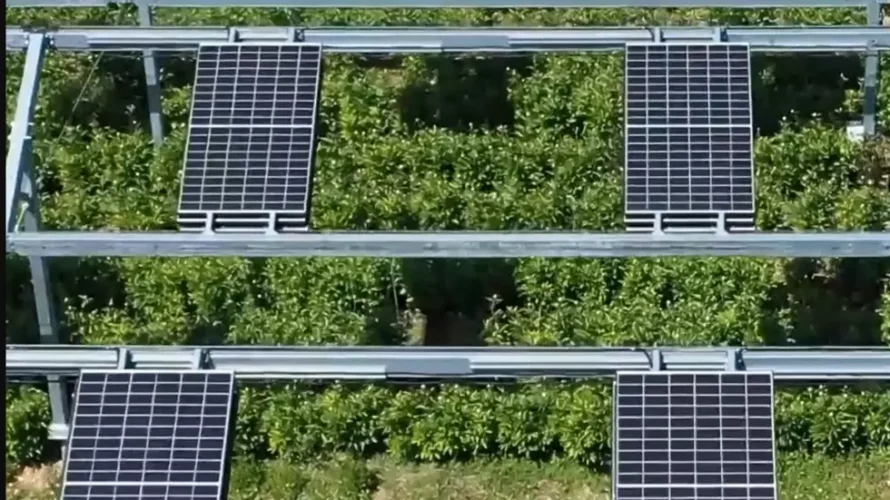 干ばつ、雹、霜、日陰は、畑作物を保護するための解決策の1つです。© agriculture.gouv.fr
