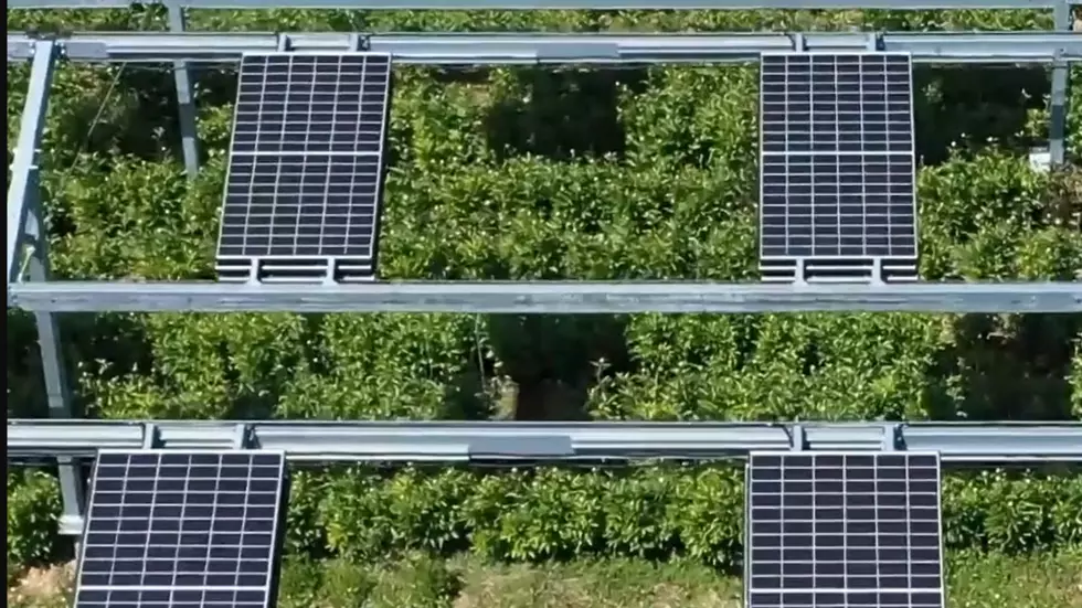 干ばつ、雹、霜、日陰は、畑作物を保護するための解決策の1つです。© agriculture.gouv.fr