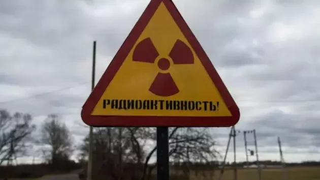 原子力：エネルギー転換の物議を醸す資産