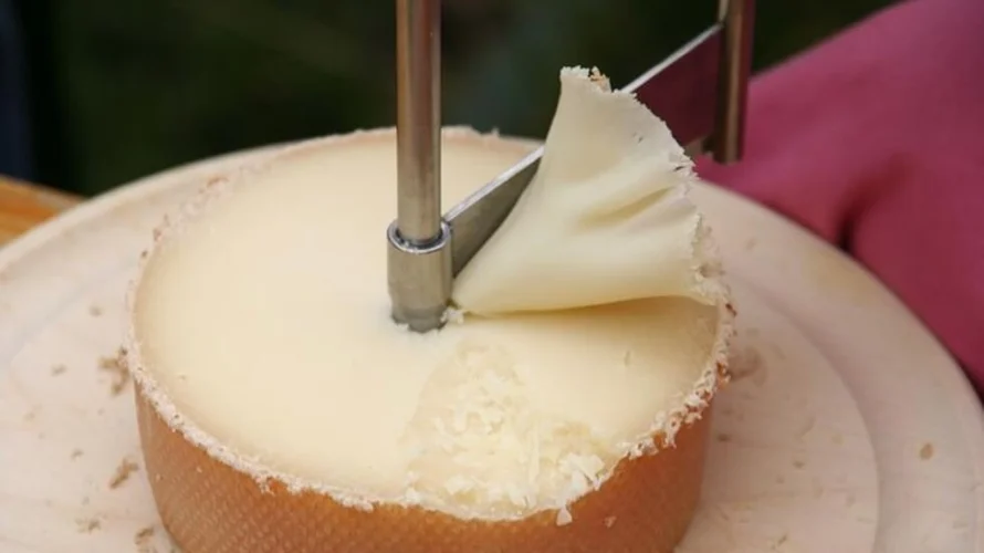 僧侶の頭を食べるには、ジロールでチーズをこすり落とす必要があります。© CC/PY。スタッキ