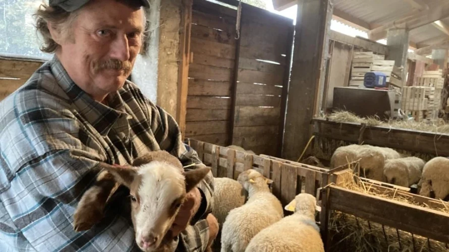 羊飼いで市場の庭師のヴィンセント・デルマスと雌羊の群れ。© RFI/ポーリン・グレイズ