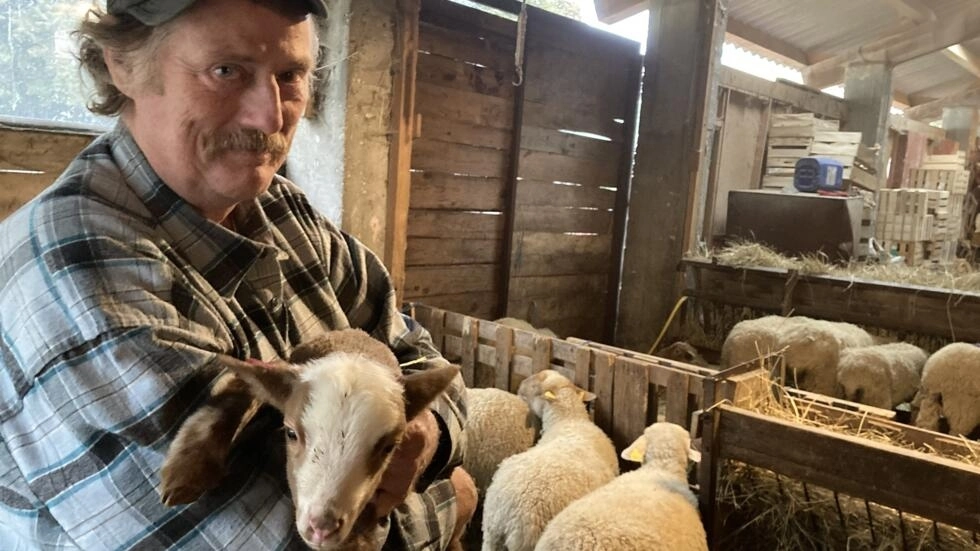 羊飼いで市場の庭師のヴィンセント・デルマスと雌羊の群れ。© RFI/ポーリン・グレイズ