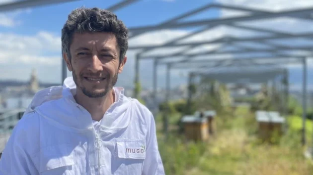 パリの屋上の巣箱は、気候変動のためにミツバチの膝の蜂蜜を少なくする