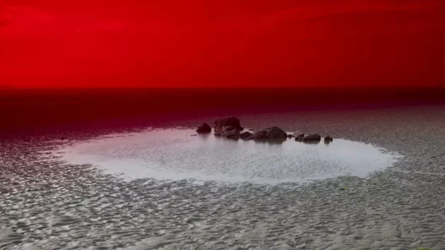 美しさと疫病：生態学的災害を暴露する写真家の探求