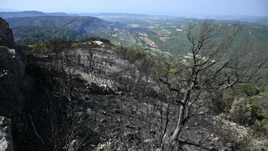 2025年8月8日、南フランスのオード県のクストゥージュ村の近くで山火事が発生した後、焼け焦げた木々と焦げた土地が描かれています。AFP - ライオネル・ボナベンチャー