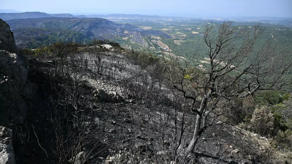 2025年8月8日、南フランスのオード県のクストゥージュ村の近くで山火事が発生した後、焼け焦げた木々と焦げた土地が描かれています。AFP - ライオネル・ボナベンチャー
