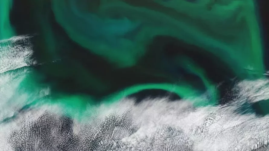 宇宙から見える大きな植物プランクトンブルームは、これらの漂流する生態系が数百キロメートルにわたってどのように広がるかを示しています。©欧州宇宙機関